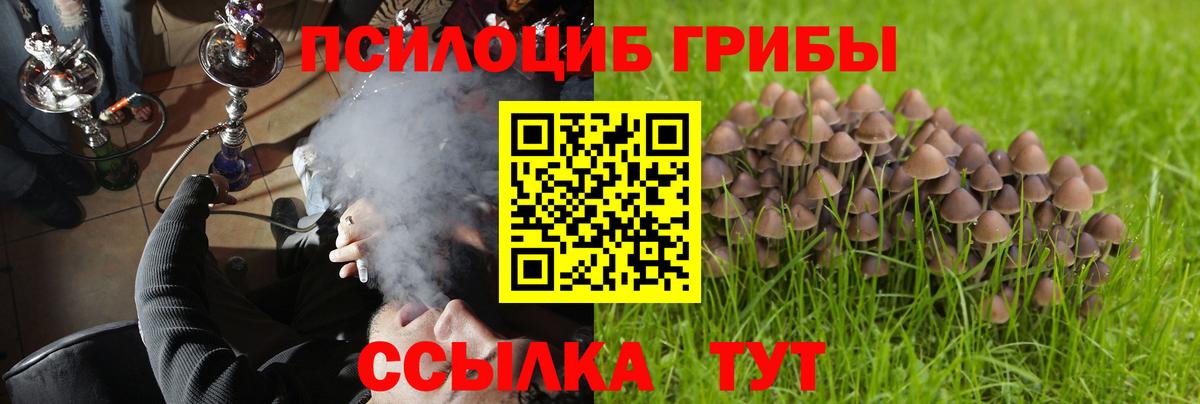 Псилоцибиновые грибы MAGIC MUSHROOMS Обь